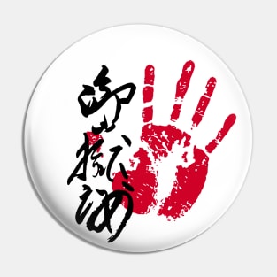 Mitakeumi Sumo Tegata Pin