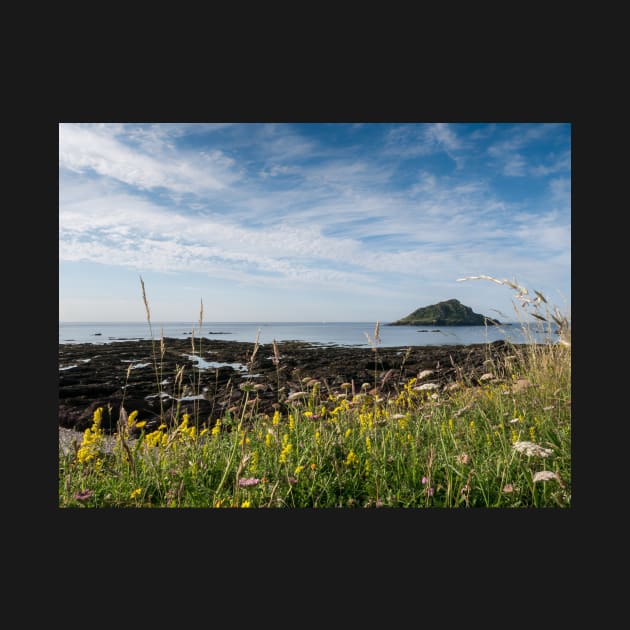 Mewstone Island from Wembury Point by jonrendle