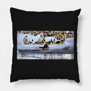 Emperor Penguins Hitting The Water Pillow