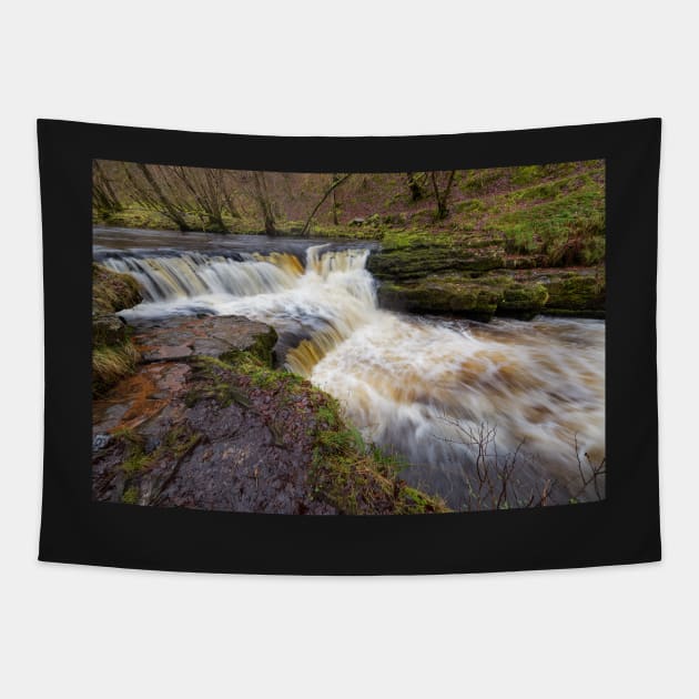 Afon Nedd Fechan, Brecon Beacons Tapestry by dasantillo