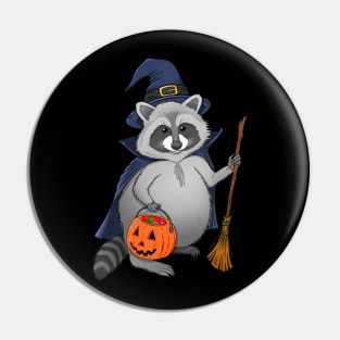 Raccoon Witch Pin