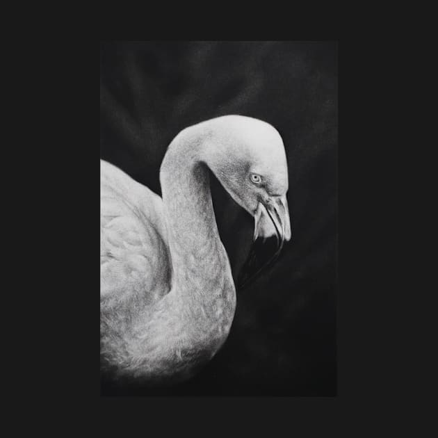 Flamingo - charcoal drawing by Iulian Cetanas