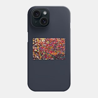 Colors 168 Phone Case