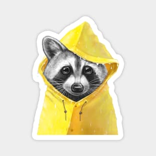 Rain Raccoon Magnet