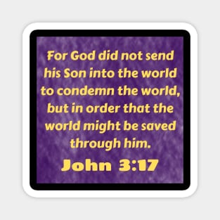 Bible Verse John 3:17 Magnet