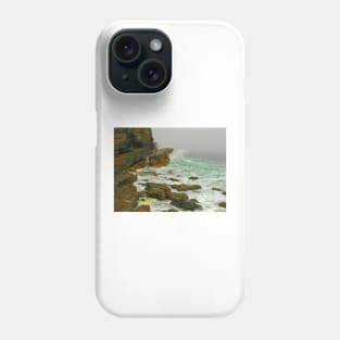 Cape Point, South Africa Phone Case