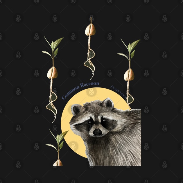 Raccoon by KatelynDavisArt