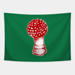 Amanita Muscaria in Red Tapestry