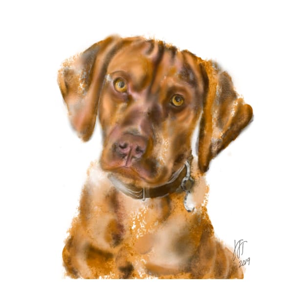 A Pensive Vizsla Puppy by LITDigitalArt