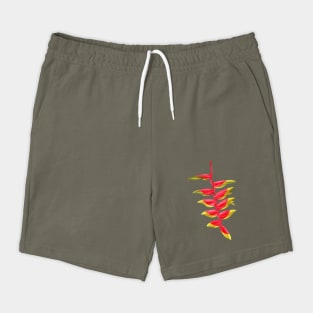 Red & Yellow Heliconia, Lobster-claws Digital Art Shorts