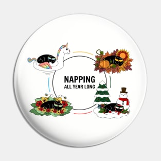 Four Season Cat Naps (Summer, Fall, Winter, Spring) Pin