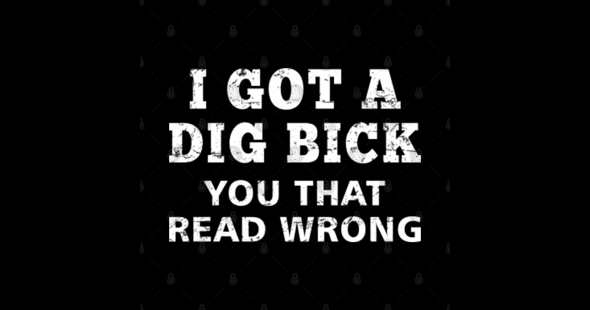 Dig Bick I Got A Dig Bick Offensive Adult Humor Vintage Dig Bick