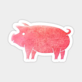 Pig Magnet