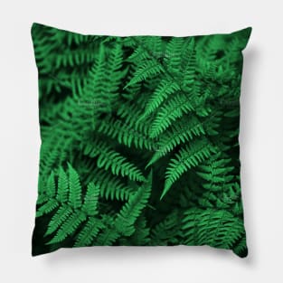 Ferns Pillow