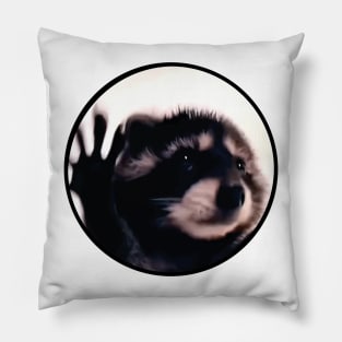 Damen Pedro Racoon Dance Pillow