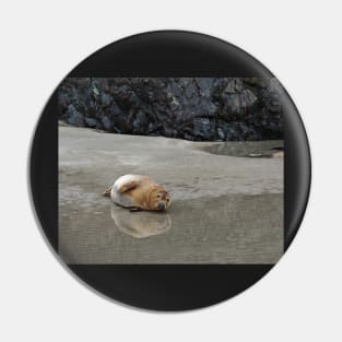 I Want to Go Back Into the Sea Now Pin