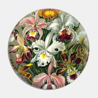 Orchid Vintage Botanical Illustration Pin