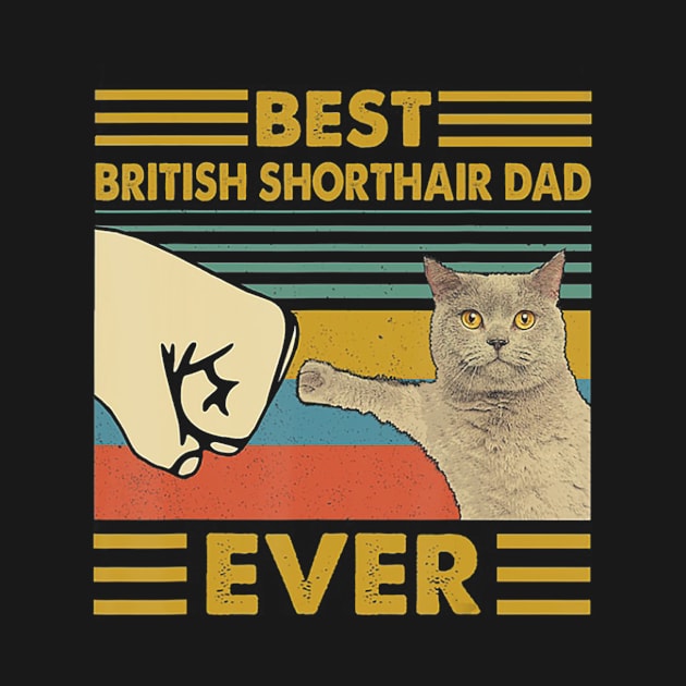 Best British Shorthair Dad Ever Retro Vintage Sunset by StuSpenceart