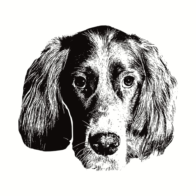 English Setter gift for English Setter Owners by DoggyStyles