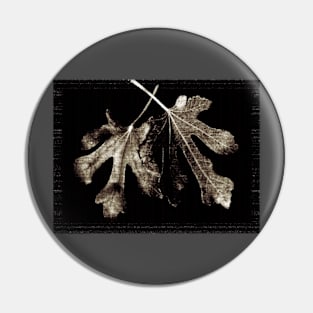 fig leaves Pin