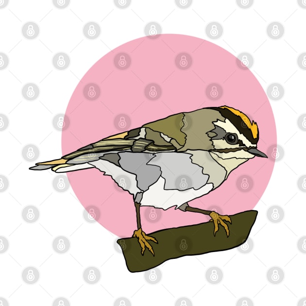 Golden Crowned Kinglet by New World Aster 