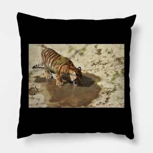 Tiger Cub Drinking Pillow