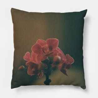 Pink orchid flower Pillow