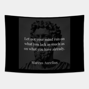 Marcus Aurelius's Counsel: Gratitude Over Desires Tapestry