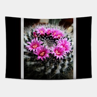 Purple Cactus Flowers Tapestry
