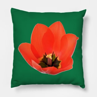 Red tulip Pillow