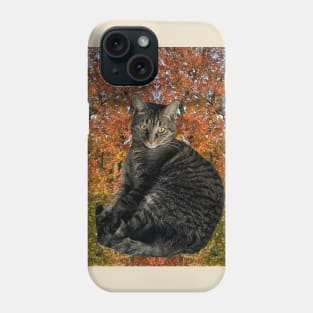 Autumn Kitty Phone Case