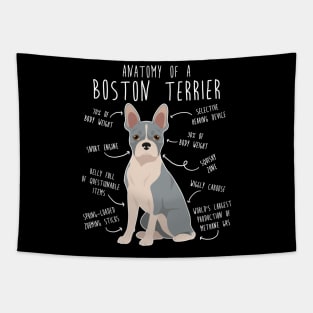 Blue Boston Terrier Dog Anatomy Tapestry