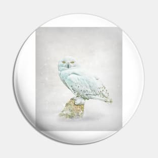 Snowy owl portrait Pin