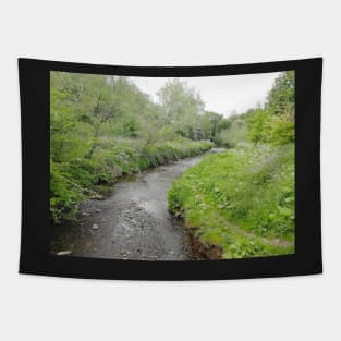 River Bollin, Macclesfield, Cheshire Tapestry