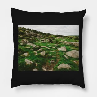 Dartmoor National Park - Many Rocks Embedded in Green Grass Pillow