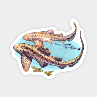 Leopard shark SCUBA Magnet