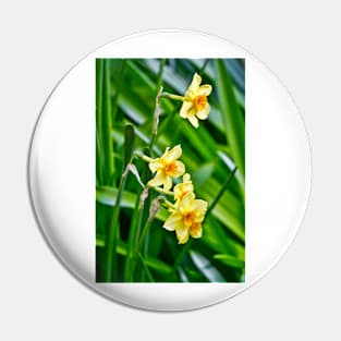 Daffodils Pin