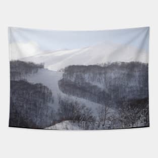 Sunny Ski Slopes in Japan Tapestry