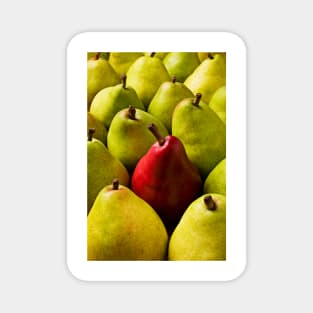 Red And Green Pears Magnet