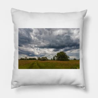 Stormy cloudscape over meadow Pillow