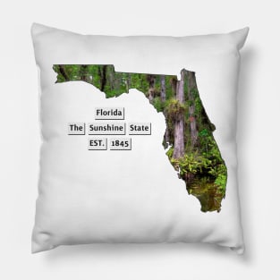 Florida USA Pillow