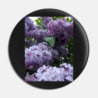 lilac Pin