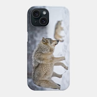 Timber Wolves Phone Case