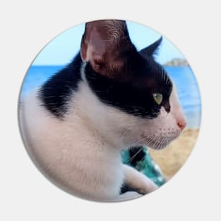 Cat on the Beach Pin