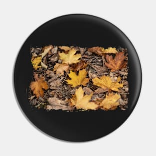 Colorful leaves - Fall, Autumn Pin