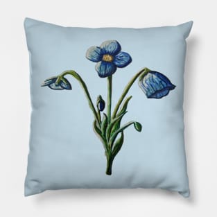 Himalayan Poppy Pillow