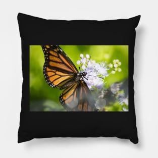 Monarch Wings Pillow