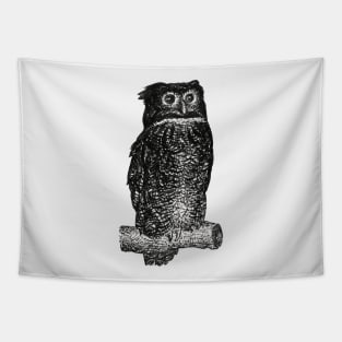 Vintage Owl  Sketch Tapestry