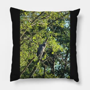 Great Blue Heron in the trees, Trojan pond, near Goble, Oregon  2 Pillow