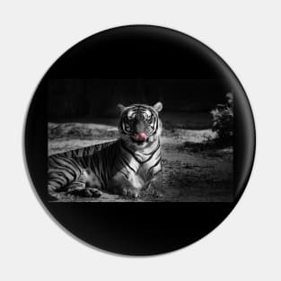 tiger, black and white Pin